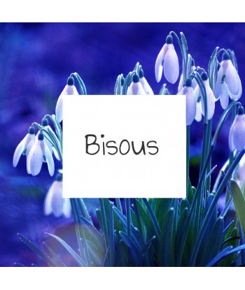 Bisous 6