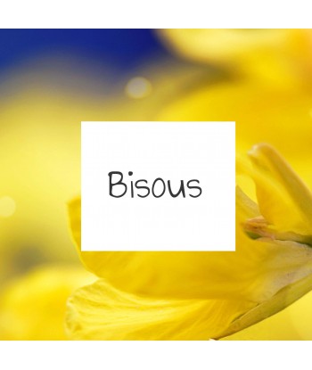 Bisous 7